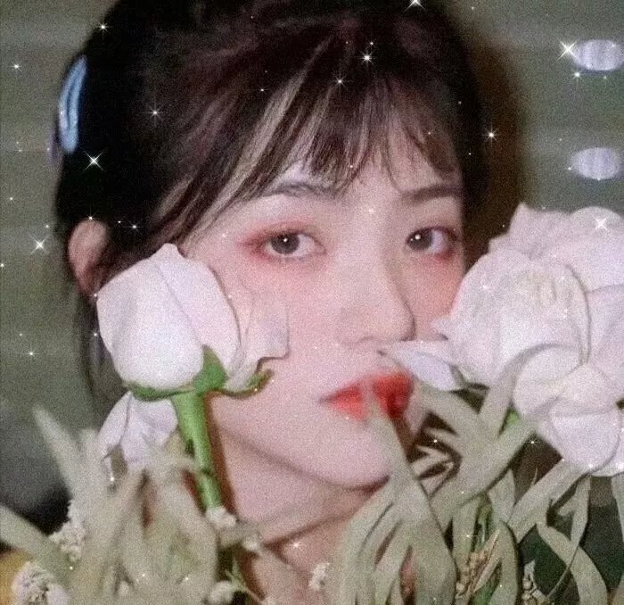 花与爱丽丝杀人事件 海报