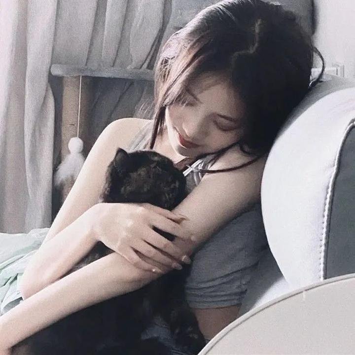 筋肉人完美超人始祖篇 海报