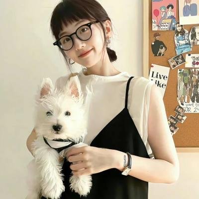 小乌龟的开学日 海报